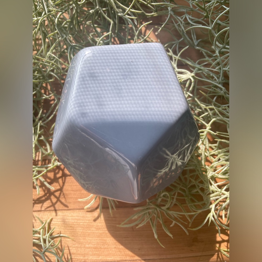 Purple Planter
